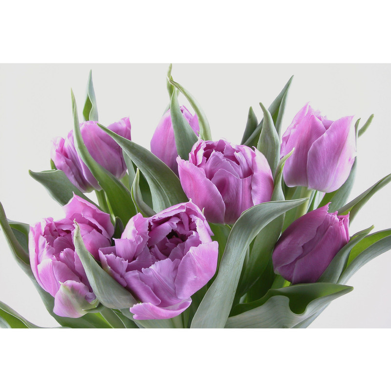 تابلو شاسی طرح گل مدل T6772