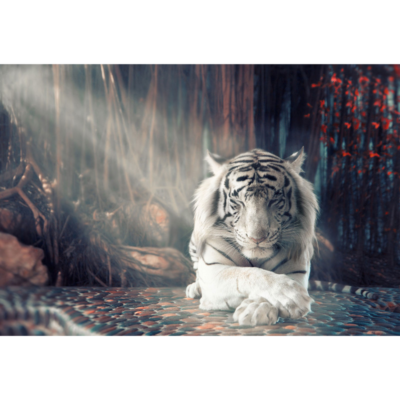 تابلو شاسی طرح ببر مدل T1722