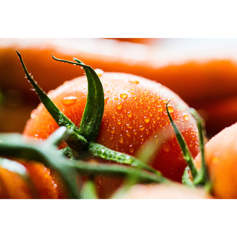 تابلو شاسی طرح گوجه فرنگی مدل T1933