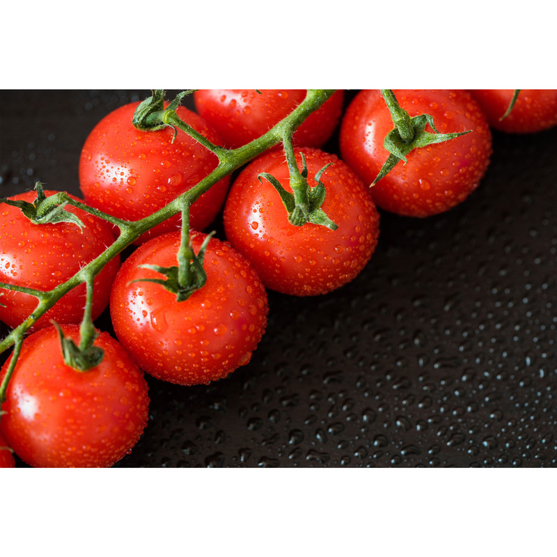 تابلو شاسی طرح گوجه فرنگی مدل T1845